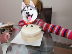 -杜哈夫DOUX RÊVE·生日蛋糕(日月光店)