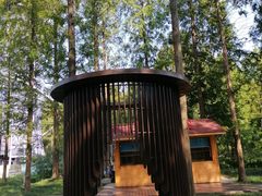 -黄海国家森林公园