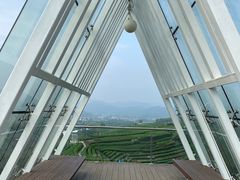 -龙坞茶村