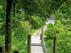 -黄埔油麻山森林公园