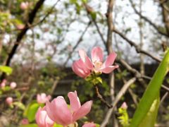 -尚贤河湿地