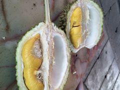 阿龙榴莲-阿龙榴莲摊