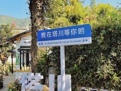 -塔川景区
