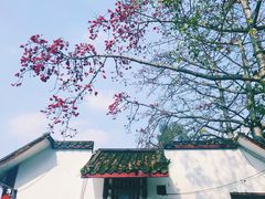 -西湖公园(鼓楼区)