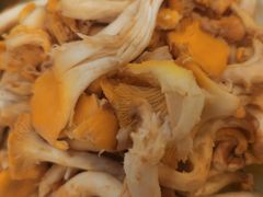 -菌海森林·非遗野生菌火锅(西山区滇池路摩根道店)
