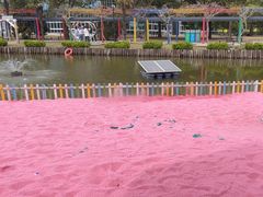 -苏州太湖西山岛开心农场
