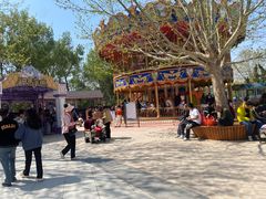 -南戴河国际娱乐中心