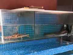 -隐炉和牛烧肉店(群力店)