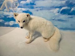 -陕西自然博物馆