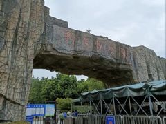 -合肥野生动物园