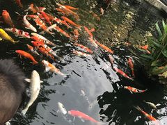-鹅公村·国家非遗传承(荔湾店)