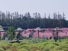 -嘉北郊野公园