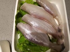 -海底捞火锅(金光华店)