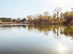 -溱湖国家湿地公园