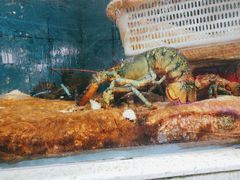 -东江海鲜大排档·潮汕菜·砂锅粥