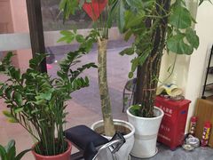 -张钰强中医正骨推拿连锁(唐家人才公寓店)
