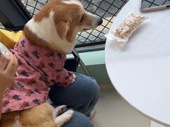 -怪兽屋·羊驼·猫咖·狗咖(俊华广场店)