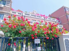 -天津五大道文化旅游区