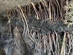 -响堂山石窟-北响堂山石窟