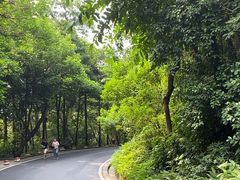 -广州市白云山风景名胜区