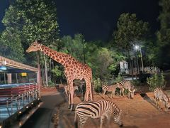 -清迈夜间动物园