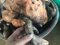 -野菌王牦牛肉汤锅