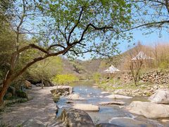 -武汉姚家山旅游景区