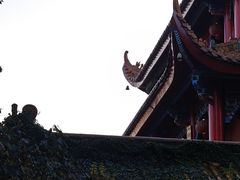 -哈尔滨文化公园