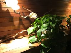 -梧桐树下(云锦世家店)