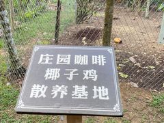 -兴隆隆苑咖啡庄园