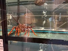 -官也街澳门火锅(新源里店)