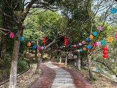 -九鲤湖风景区
