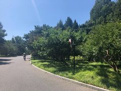 -钓鱼台国宾馆