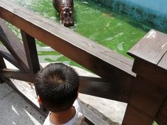 -灵玲国际马戏城