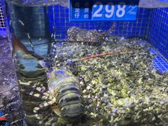 -青蓬蒸汽海鲜·深圳老字号·团建聚会(壹方城店)
