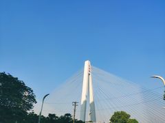 -月湖风景区