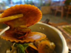 -土蚝·高压锅生蚝(百姓美食街店)