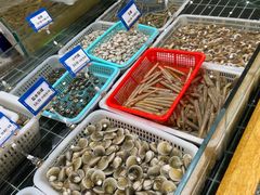 -阿毛饭店·宁波老字号(儿童公园旗舰店)