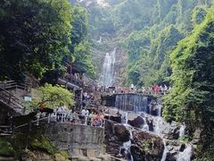-鼎湖山风景区