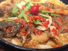 -老板恋上鱼(恒隆广场店)