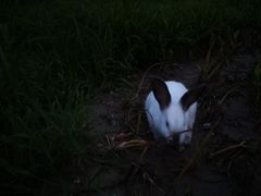 -川竹火锅(创业城店)