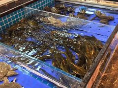 -黑金·寻焰自助百汇·烤肉·火锅(中街店)