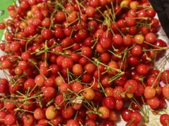 -来之顺海鲜菜馆·青岛菜·始于1993(栈桥店)