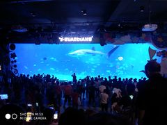 -烟台海昌鲸鲨海洋公园