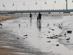 -南戴河国际娱乐中心