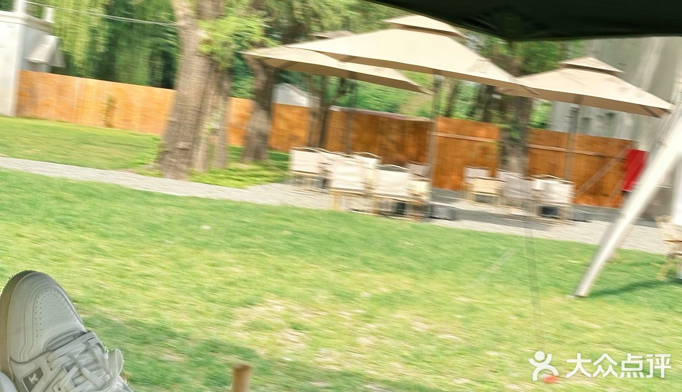 北京宠物友好咖啡厅