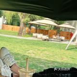 北京宠物友好咖啡厅