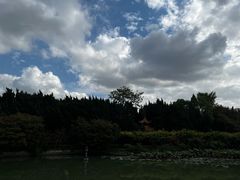 -嘉定紫藤园
