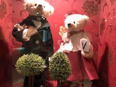 -济州岛泰迪熊博物馆