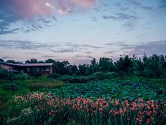 -白鹭湾湿地公园